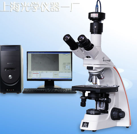 �@΢���۵ȼ�(j��)����ϵ�y(t��ng)YP-2�r(ji��)��